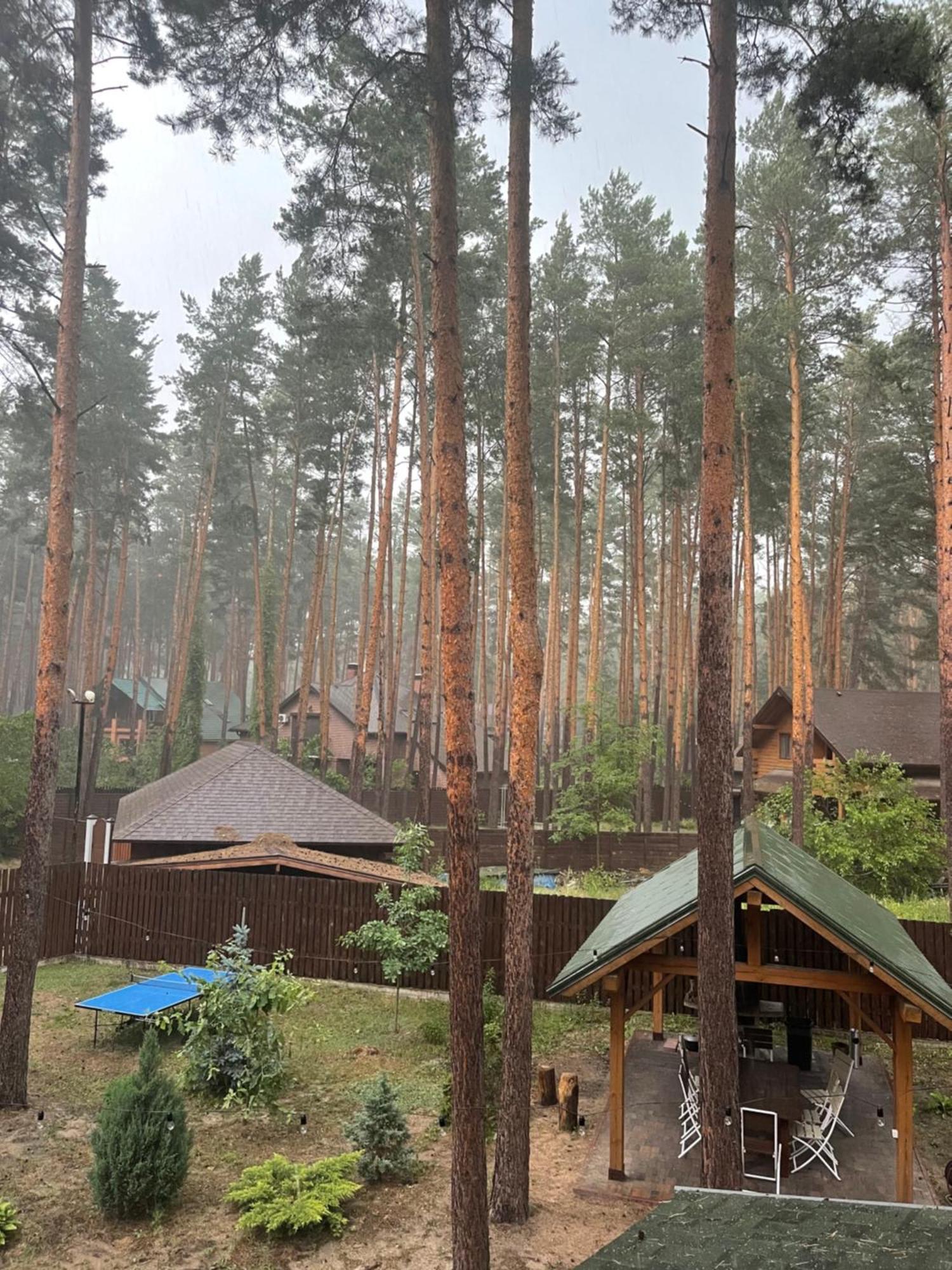 Greenhousevip Villa Voropayev
